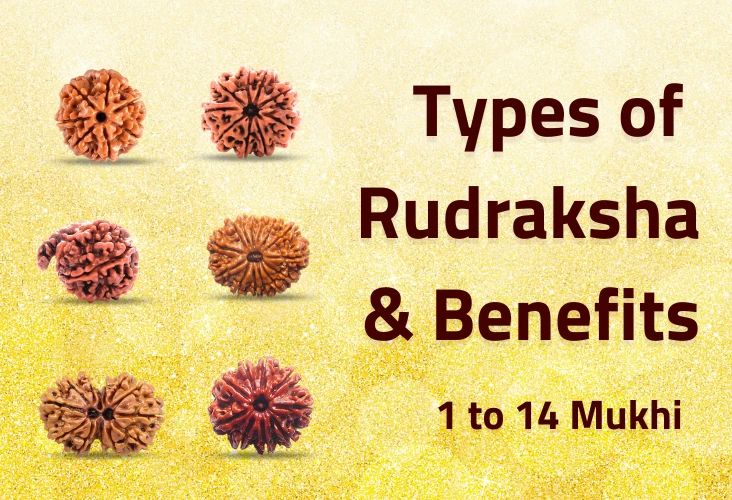 Types of rudraksha and it’s benefits