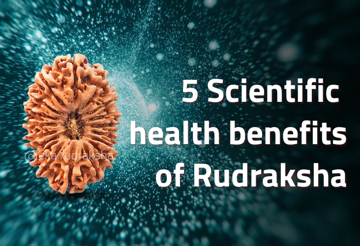 5 scientific health benefits of rudraksha
