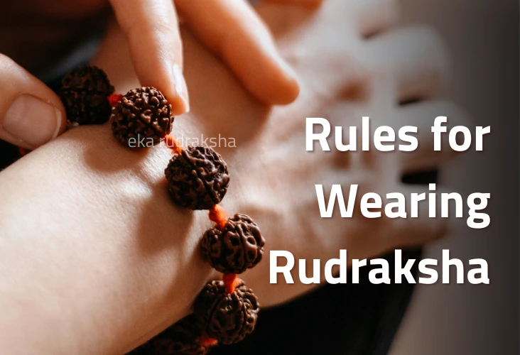Rules for wearing Rudraksha | All Queries answered
