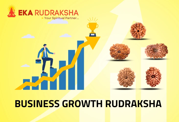 5 best rudraksha for business growth