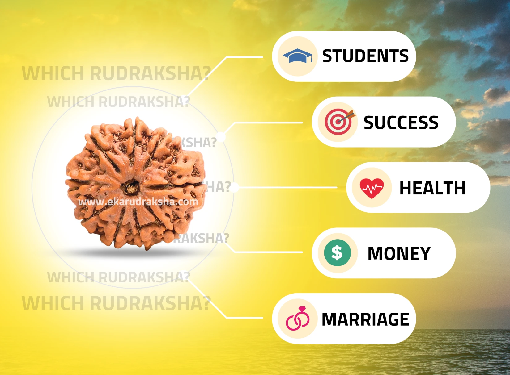 Which Rudraksha is best? For Money, Students, Success, Health..... many more