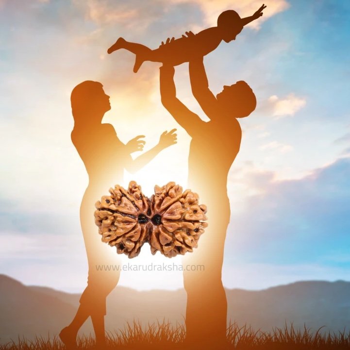 Best Rudraksha For Relationship, Love & Family 