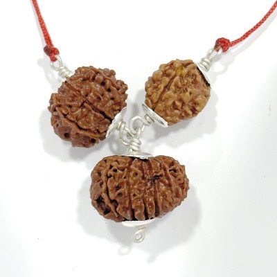 Rudraksha combo 13, 8 & 3 mukhi for healthy heart & strong immune system combination