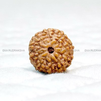 10 Mukhi Navagraha Shanti