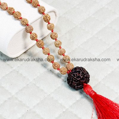Nepali Black 5 Mukhi Rudraksha mala 108 beads lab certified Mahadev Panchatattva balance negativity protection all chakra clear necklace
