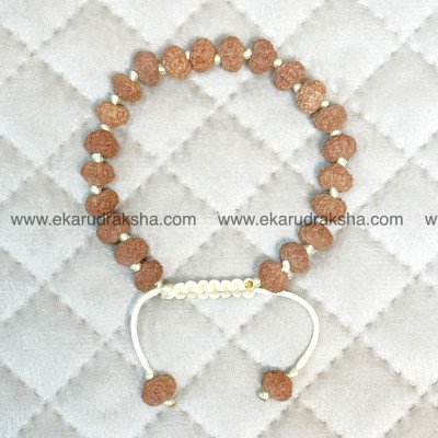 8 Mukhi Rudraksha bracelet Lab Certified Lord Ganesha prosperity good health java Rahu relief Muldhara chakra balance hand band
