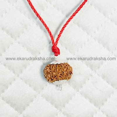 10 Mukhi Rudraksha Pendant