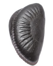 Parshuram Avatar Shaligram