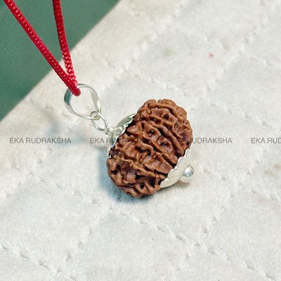 12 Mukhi Rudraksha Pendant