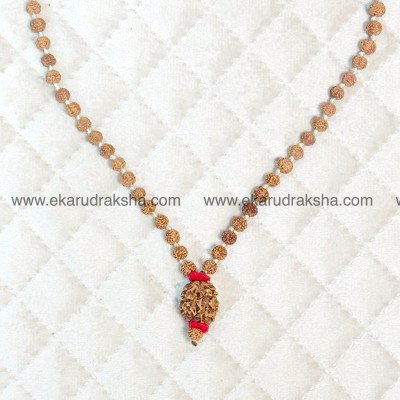 Himalaya 2 Mukhi Rudraksha Mala 108 beads Lab Certified Shiva Shakti Ardhanaareshwor marriage love emotional healing moon necklace
