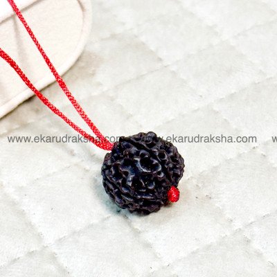 Black Nepali Rare 5 Mukhi Rudraksha pendant red thread kalaagni Rudra protection power peace Vishuddha throat chakra balance locket