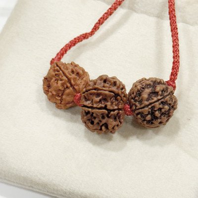 7, 8, 4 mukhi Nepal rudraksha combo for career business memory power in red thread pendant