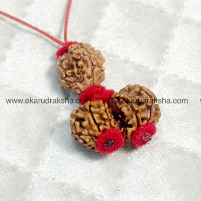 Mental health 3 Mukhi and Gaurishanker Nepal rudraksha combination Lab Certified Shiva Parvati Tridev Mars Moon Pendant
