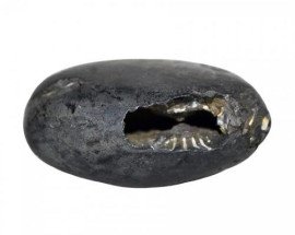 Laxminarayan Shaligram