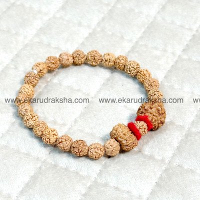 Rudraksha bracelet 7, 13, 5 Mukhi Authentic Certified beads for attraction stock market gain Venus hand band