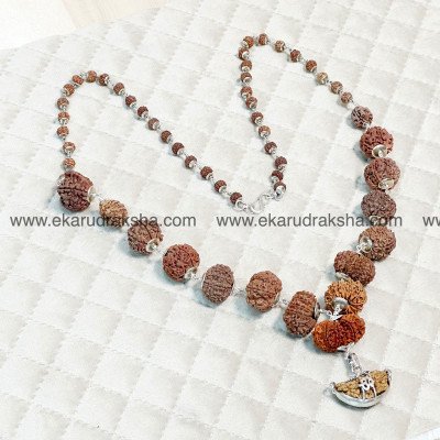 Nepali Siddha mala 1 to 14 Mukhi rudraksha mala in silver Lab Certified Sarva karya Siddhi Necklace