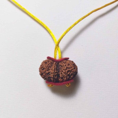 Nepal Gaurishankar Rudraksha Pendant in thread Lab certified Shiva Parvati