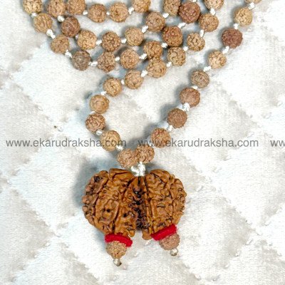 Nepal Gauri Shankar Rudraksha Mala 108 Lab Certified Shiva Parvati family harmony love relationship bonding Necklace