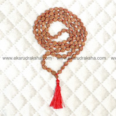 3 Mukhi Rudraksha Mala 108 beads Lab Certified Tridec brahma vishnu mahesh good health mars necklace