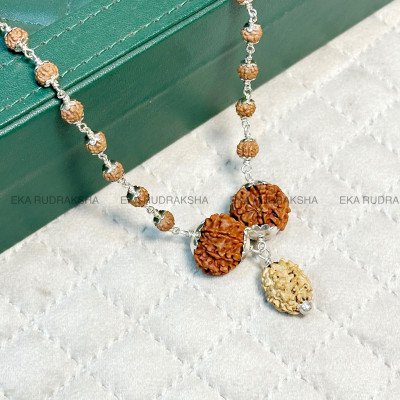 Unity Prosperity Clarity – 2, 7, 8 Mukhi Rudraksha combination spiritual silver 925 necklace panchmukhi peace calmness mala