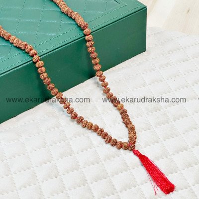 7 Mukhi Mala