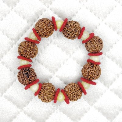 6 Mukhi Rudraksha bracelet nepal beads for men women lab certified elastic