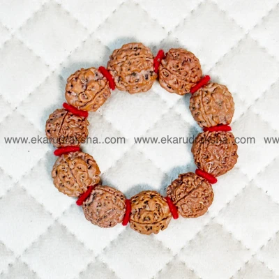 Nepali 4 Mukhi Rudraksha bracelet lab certified red Woolen spacers Lord brahma Maa Saraswati Focus Concentration memory power Vishuddha throat chakra clear hand band