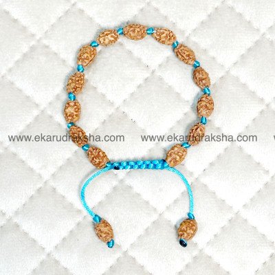 2 Mukhi Rudraksha Bracelet