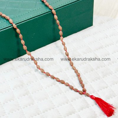 2 Mukhi Original Rudraksha mala 108 small beads for wearing japa men women