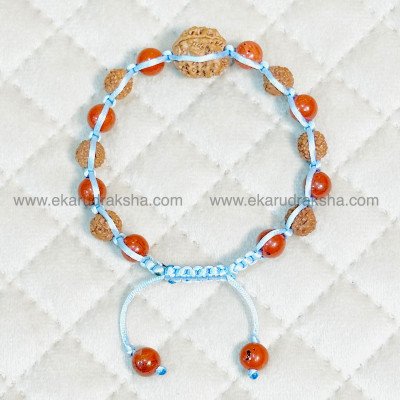 Nepal 3 Mukhi Rudraksha bracelet Red Jasper Health Improvement Stress free Mars relief Muladhara root chakra balance hand band