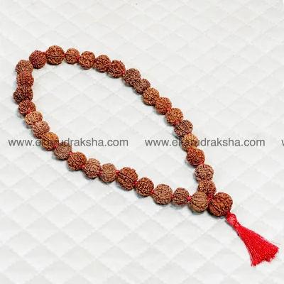 Nepali 7 Mukhi Rudraksha Kantha mala 33 lab certified Maha laxmi financial success saturn sadesati relief Manipura solax chakra clear necklace
