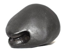Original Varaha Avatar Shaligram