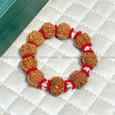 7 mukhi Rudraksha Nepali bracelet Lab Certified for wealth prosperity