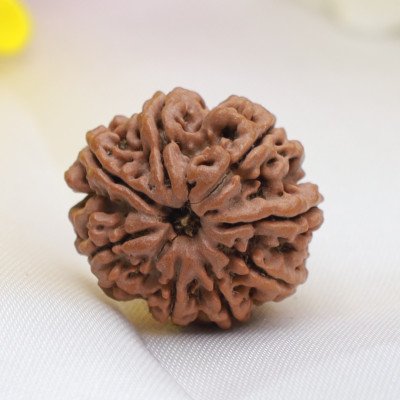 Regular 8 Mukhi Rudraksha Nepal origin Medium size lab certified bead Ganesha Vinayaka for Good luck success health improvement Rahu balance
