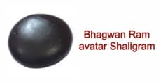 Bhagwan Ram avatar Shaligram
