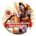 Shiva Blessings