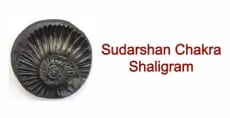 Sudarshan Chakra Shaligram