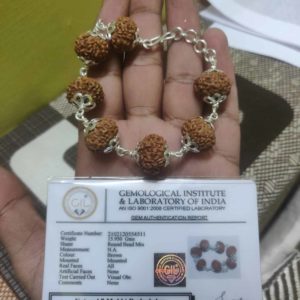 "7 Mukhi Rudraksha bracelet pure Silve Eka Rudraksha logo"