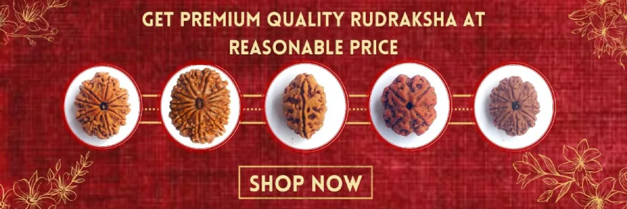 Genuine Rudraksha Dealer - Beads & Malas | Eka Rudraksha